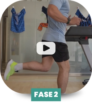 fase 2 rehabilitacion LCA