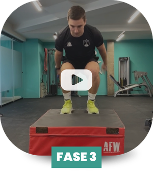 fase 4 rehabilitacion LCA